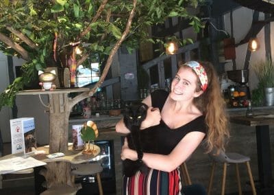 Cafe Work Experience Abroad Placement Cat Cafe