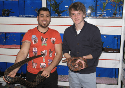 Pet Shop Work Experience Abroad Placement Animals