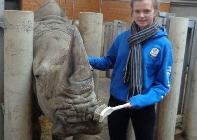 Zoo Work Experience Abroad Placement Animals