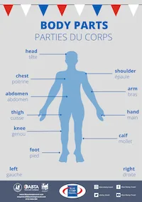 French Body Parts Poster