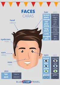 Spanish Face Parts Poster